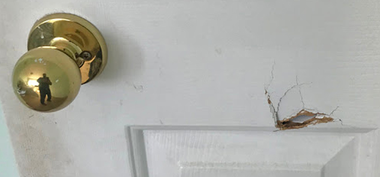 interior door hole repair Gold River